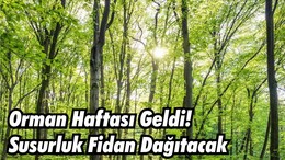 Orman Haftası Geldi! Susurluk Fidan Dağıtacak