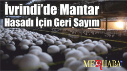 İvrindi’de Mantar Hasadı İçin Geri Sayım