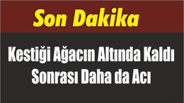 Kestiği Ağacın Altında Kaldı Sonrası Daha da Acı