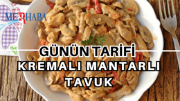 Günün Tarifi: Kremalı Mantarlı Tavuk