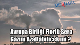 AB Florlü Gazı Azaltacak