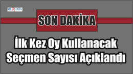 İlk Kez Oy Kullanacakların Sayısı