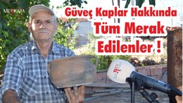 Güveç Kaplar İle İlgili Her Şey