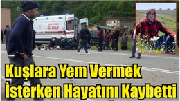 Kuşlara Yem Vermek İsterken Hayatını Kaybetti