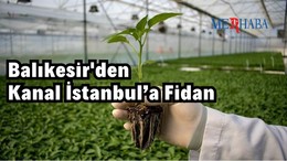 Balıkesir'den Kanal İstanbul’a Fidan