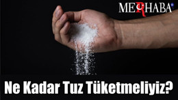 Ne Kadar Tuz Tüketmeliyiz?