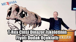 T-Rex Cinsi Dinazor