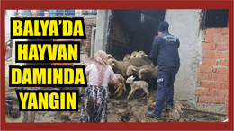 Hayvan Damında Yangın