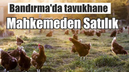Bandırma'da tavukhane mahkemeden satılık