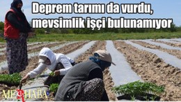Deprem tarımı da vurdu, mevsimlik işçi bulunamıyor