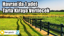 Havran’da 1 adet Tarla Kiraya Verilecek