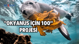 "Okyanus İçin 100" Projesi
