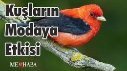 Kuşların Modaya Etkisi