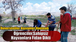 Sahipsiz Hayvanlar İçin Fidan Diktiler