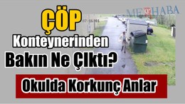 Çöp Konteynerinden Ayı Çıktı