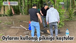 Oylarını kullanıp pikniğe koştular