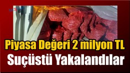 Suçüstü Yakalandılar