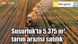 Susurluk'ta 5.375 m² tarım arazisi satılık