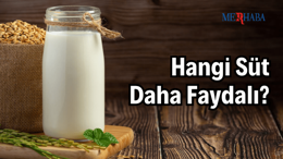 Hangi Süt Daha Faydalı?