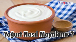 Yoğurt Nasıl Mayalanır ?