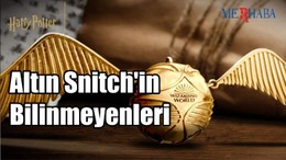 Altın Snitch'in Bilinmeyenleri