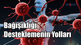 Bağışıklığı Desteklemenin Yolları