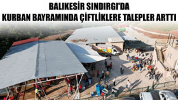 Balıkesir Sındırgı'da Kurban Bayramında Çiftliklere Talepler Arttı