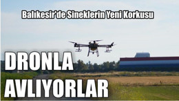 Balıkesir'de Sineklerin Yeni Korkusu