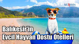 Balıkesir'in Hayvan Dostu Otelleri