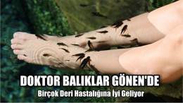 Doktor Balıklar Gönen'de