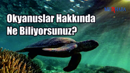 Okyanuslar Hakkında Ne Biliyorsunuz?