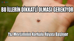 Yaz Mevsiminin Korkulu Rüyası Başlıyor