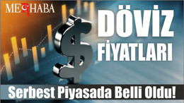 Serbest piyasada döviz fiyatları