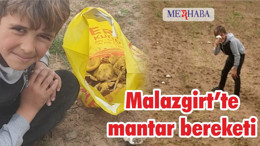 Malazgirt’te mantar bereketi