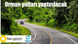 Orman yolları yaptırılacaktır