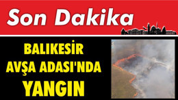 Balıkesir Avşa Adası'nda Yangın