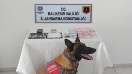 Balıkesir Jandarma Ekipleri 2 İlçeye Operasyon Yaptı