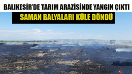 Balıkesir’de Tarım Arazisinde Yangın Çıktı