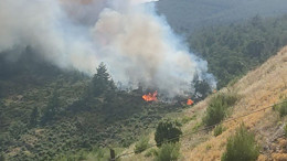 Balıkesir'de Yangın Kontrol Altına Alındı