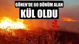 Gönen'de 60 Dönüm Alan Kül Oldu