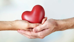 Organ Bağışına Dair Her Şey