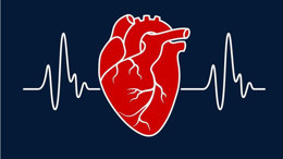 Kalp Krizi Nasıl Olur? Önlem Almak Mümkün mü!