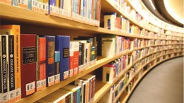 Bilim Edebiyat ve Tarihin Işığında: Çamlık Kütüphanesi