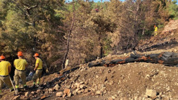 Balıkesir’de Orman Yangını Söndürüldü ! Zarar Tespiti Gerçekleşti