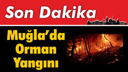Muğla’da Orman Yangını