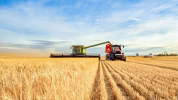 Mayıs 2024 Tarımsal Girdi Fiyat Endeksi Artışta