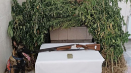 Bahçede Yetiştirilen Uyuşturucuyu Havadan Gördüler!