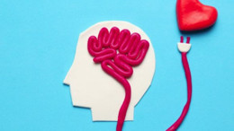 Duygusal Zekanın Anlamı ve Önemi