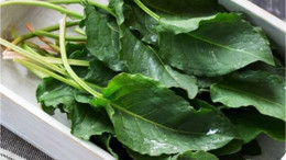 Balıkesir'in Gözde Bitkisi Mikrop Düşmanı !