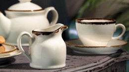 Porselen Nedir ? Ne İşe Yarar ?